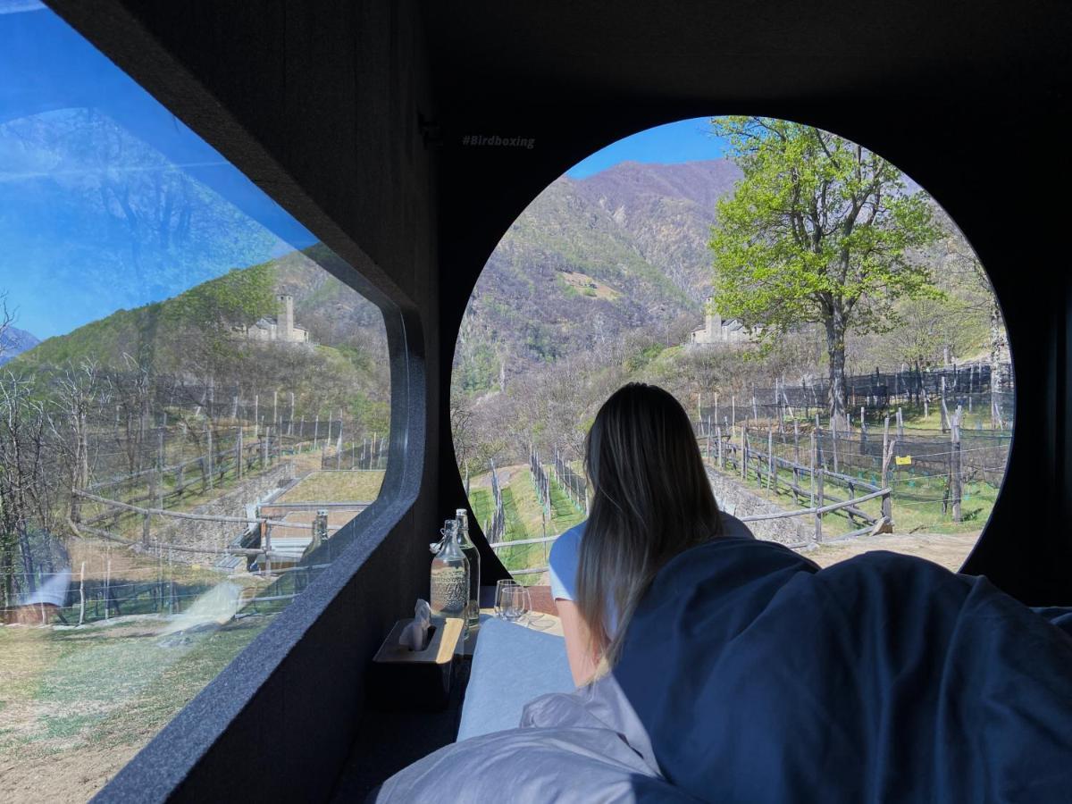 Birdbox Curzútt Otel Monte Carasso Dış mekan fotoğraf