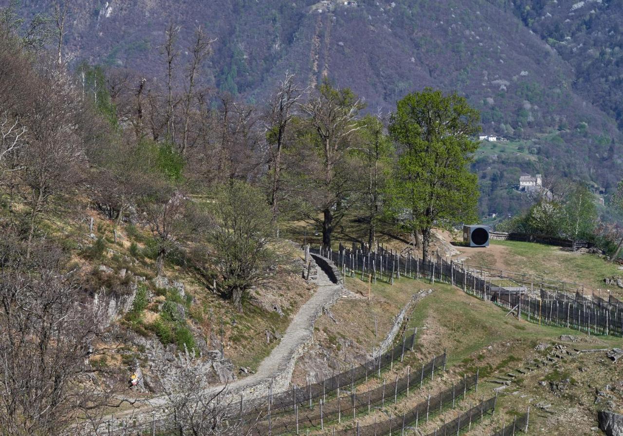 Birdbox Curzútt Otel Monte Carasso Dış mekan fotoğraf