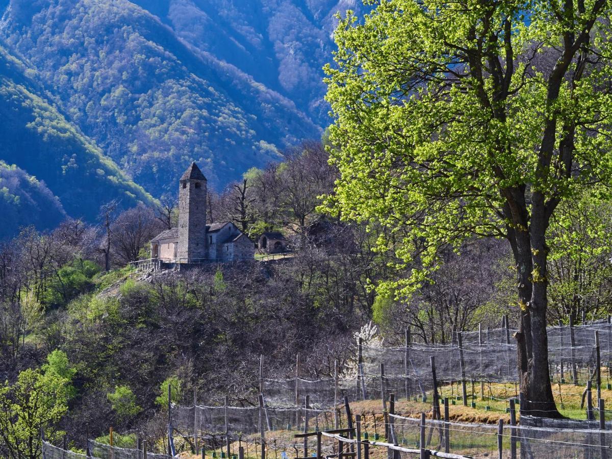 Birdbox Curzútt Otel Monte Carasso Dış mekan fotoğraf