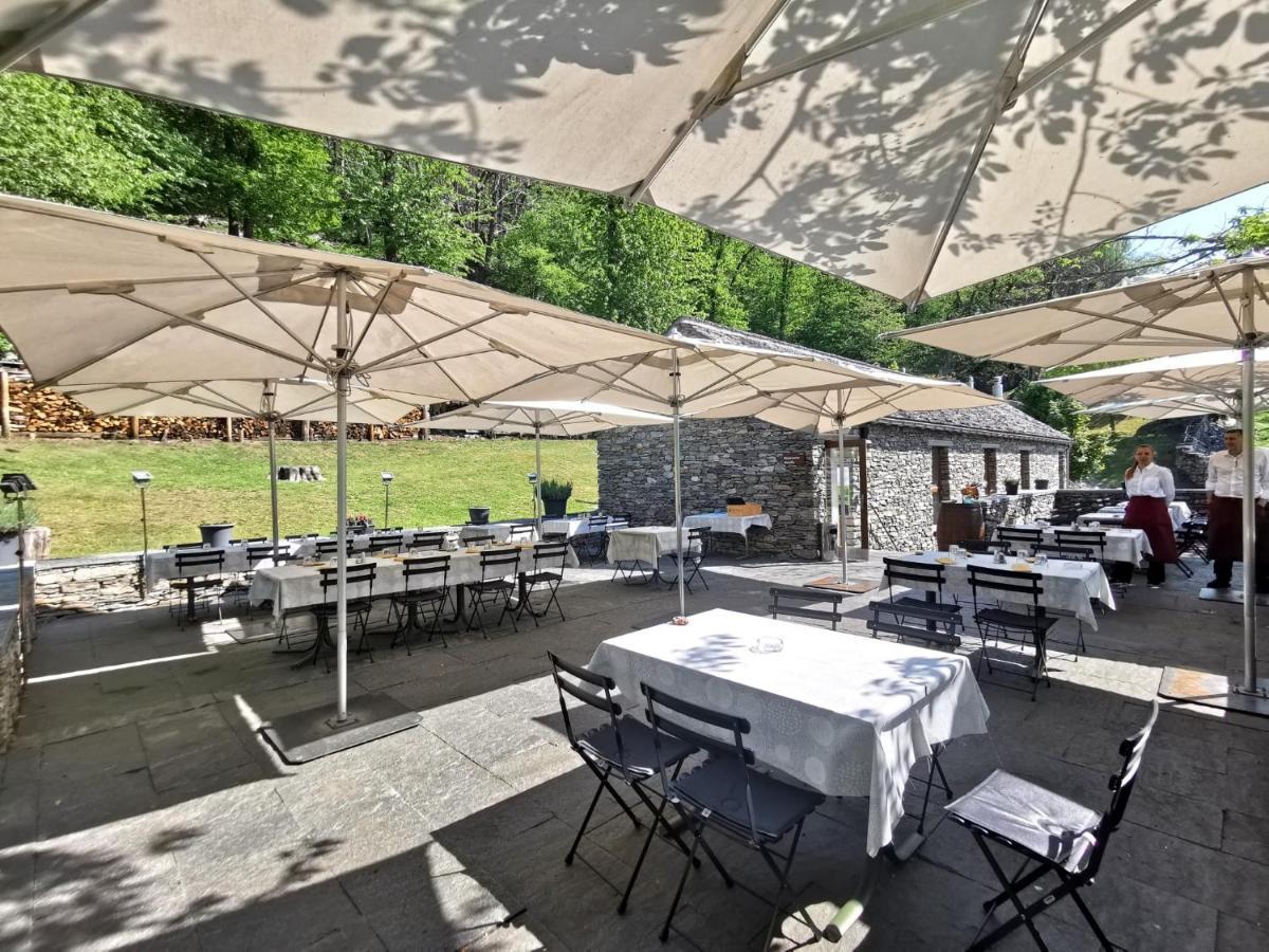 Birdbox Curzútt Otel Monte Carasso Dış mekan fotoğraf